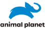 animal planet